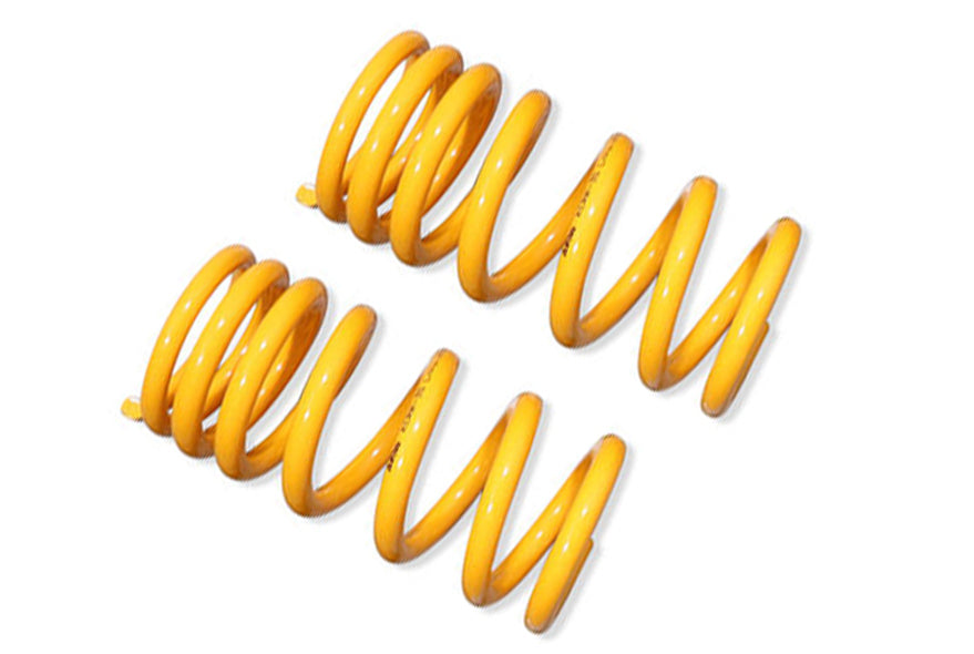 Pajero NS-NX - Raised King Spring (Rear) 0-100KG