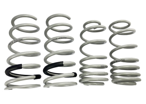 Lowered Spring Kit