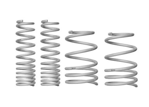 Lowering Spring Kit