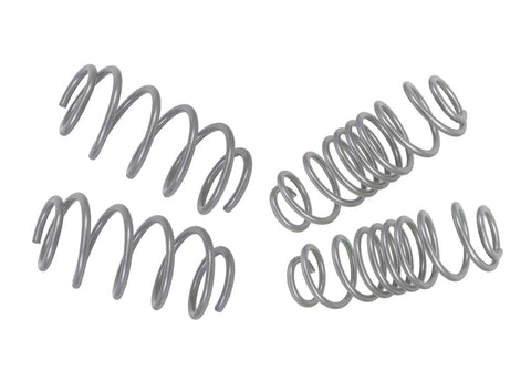 Lowering Spring Kit