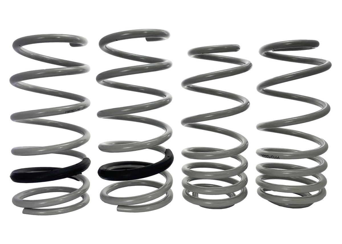 Lowered Spring Kit