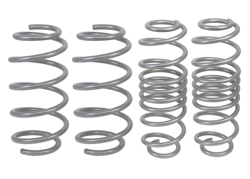 Lowering Spring Kit